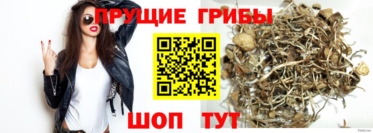 Псилоцибиновые грибы MAGIC MUSHROOMS Полевской